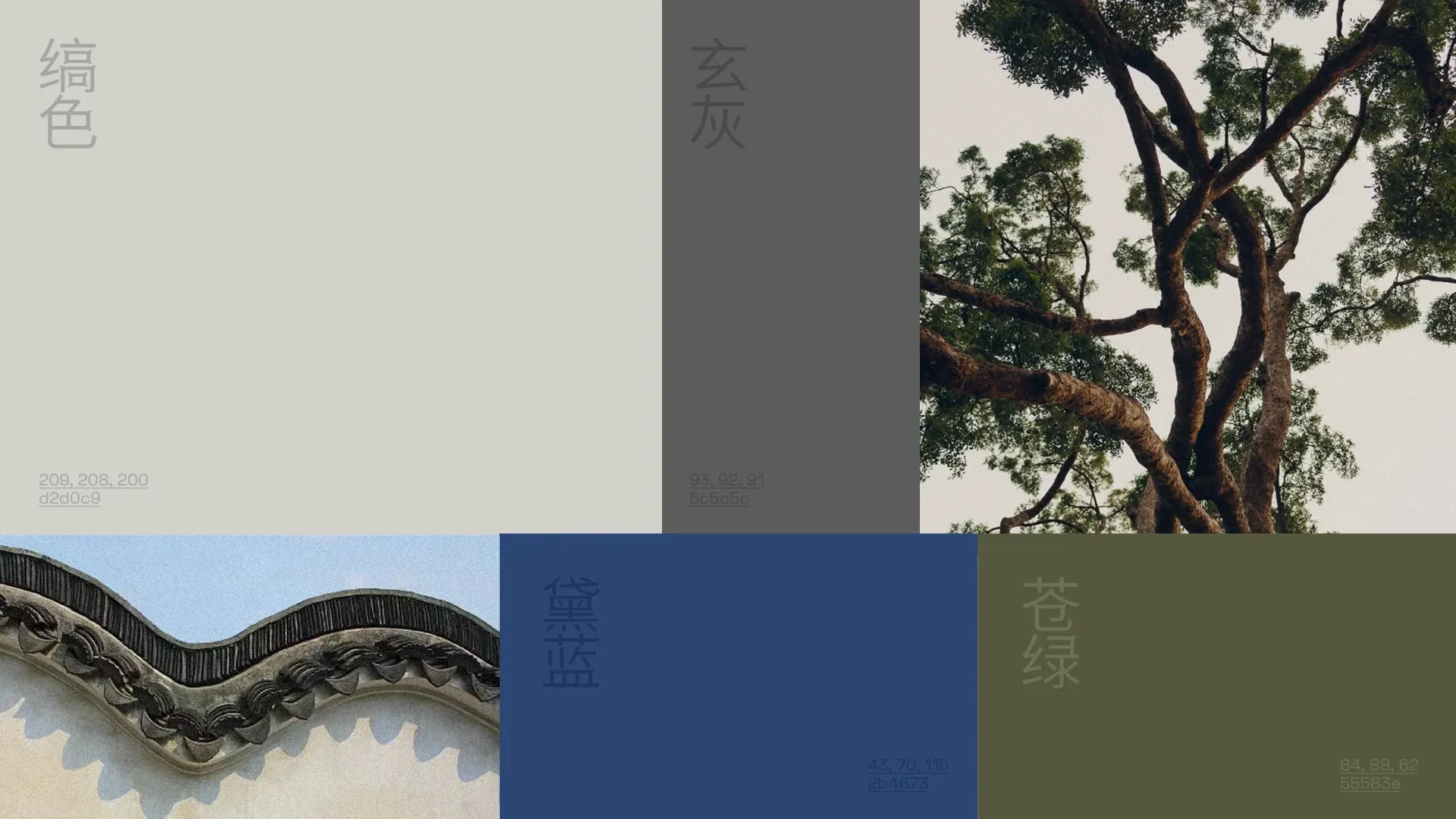 抖音小酒馆 — 8